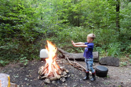 Herbstferien im Wald