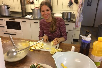 Insekten & Shopppig / Update