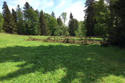 Mont Soleil – avec un peu de soleil