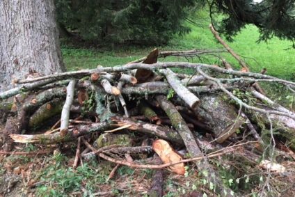 Von Asthaufen und Orden