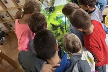 Vier kleine Schildkröten und ein grosses Wunder von Gemeinschaft